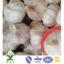 New Crop 2016 Fresh Normal White Garlic Big Size